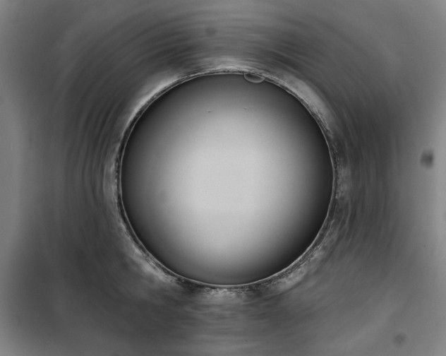 X0000100330806200806051533