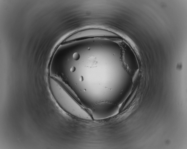 X0000100330807200806051533