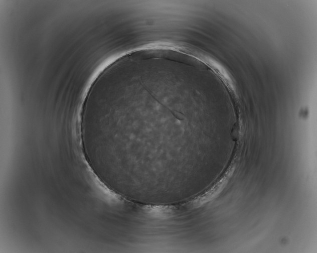 X0000100330808200806051533