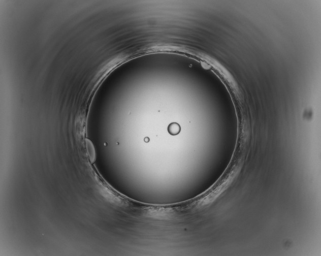 X0000100330809200806051533