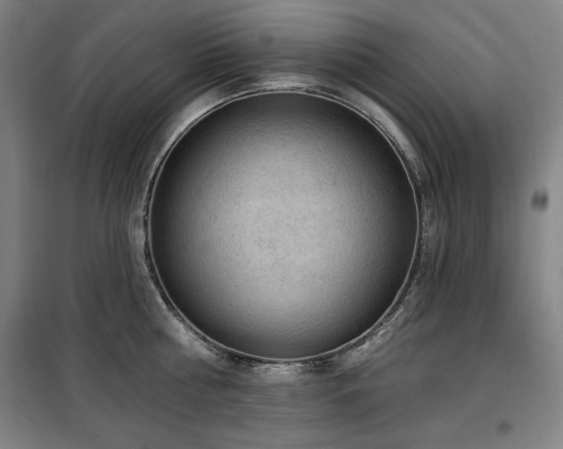 X0000100330810200806051533