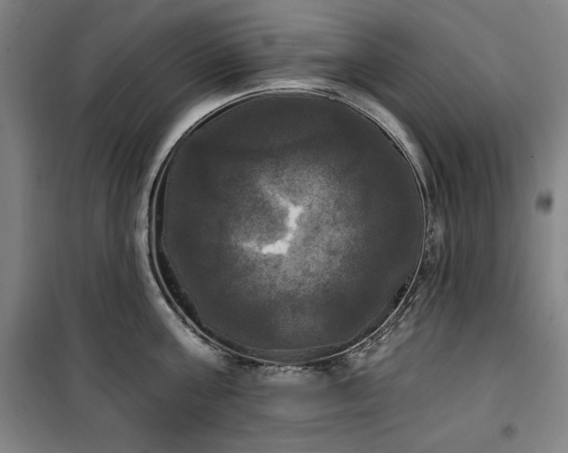 X0000100330811200806051533