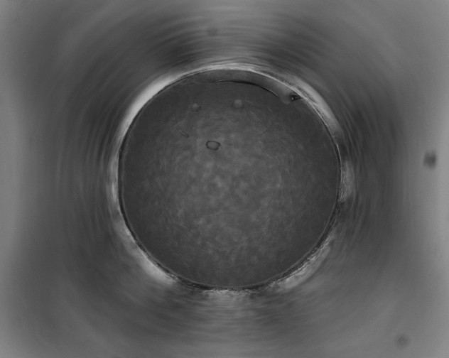 X0000100330812200806051533