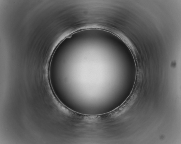 X0000100330813200806051533