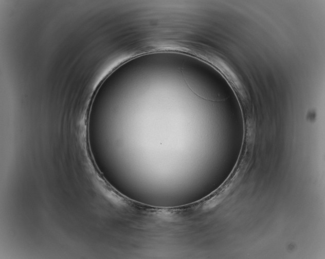 X0000100330814200806051533