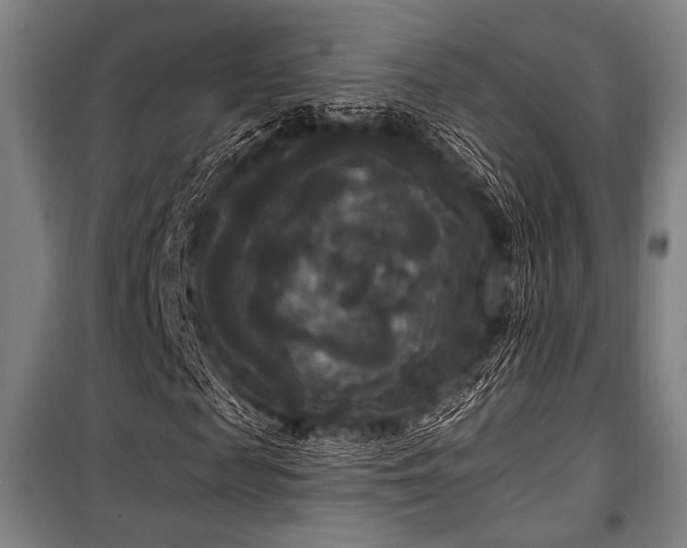 X0000100330817200806051532