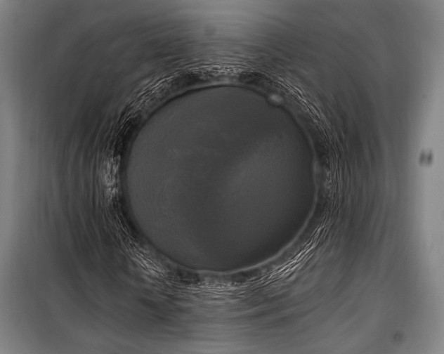 X0000100330818200806051532