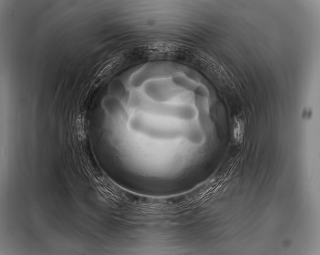 X0000100330819200806051532