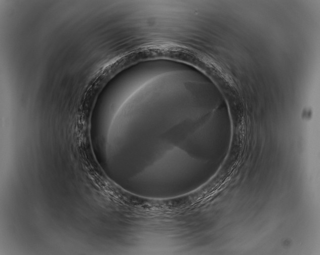 X0000100330822200806051532