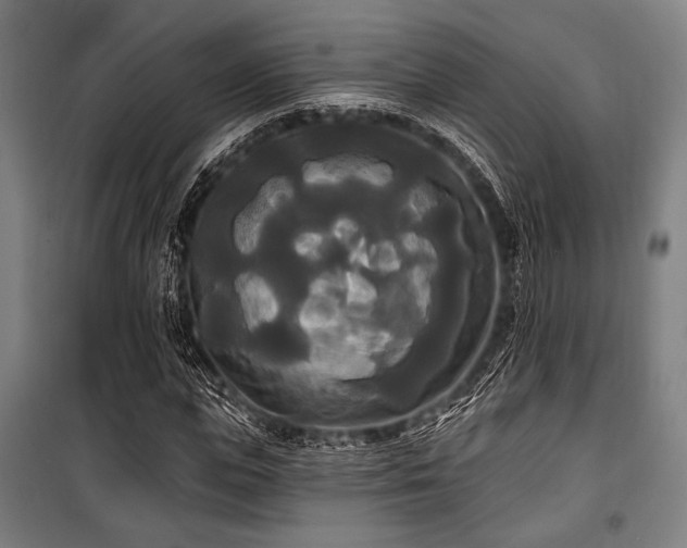 X0000100330823200806051532