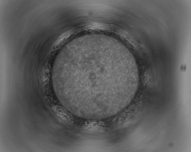 X0000100330824200806051532