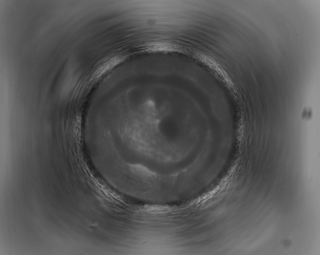 X0000100330825200806051532