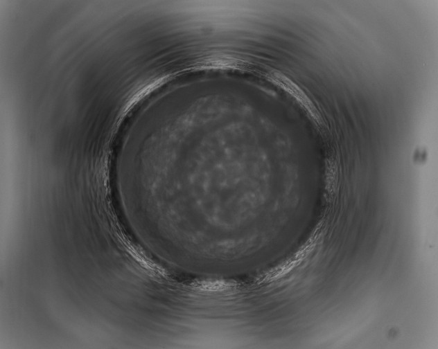 X0000100330826200806051532