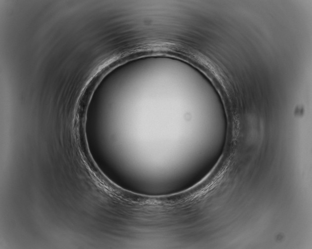 X0000100330827200806051532