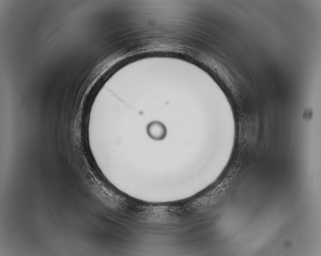 X0000100330828200806051532