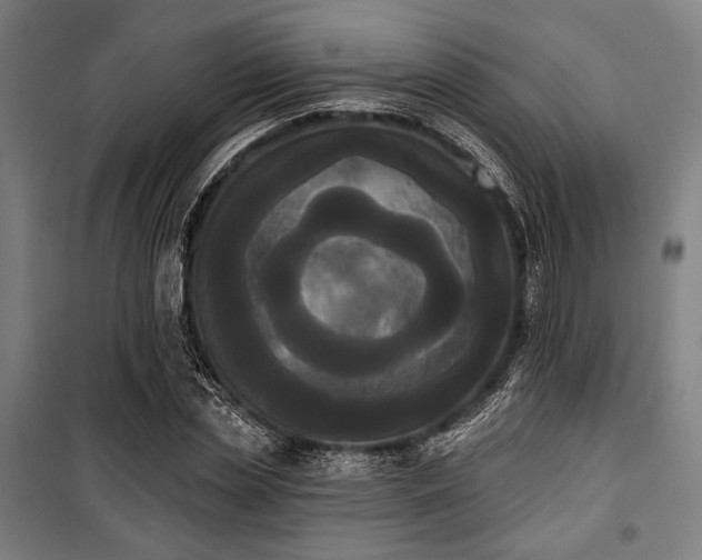 X0000100330829200806051532