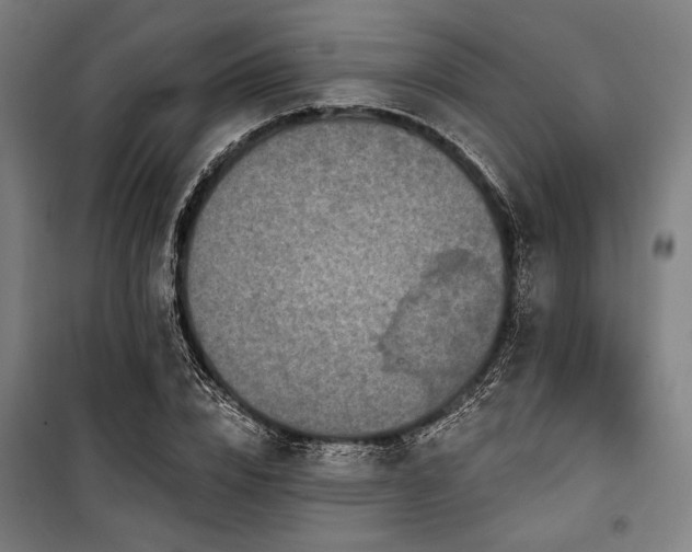 X0000100330832200806051532