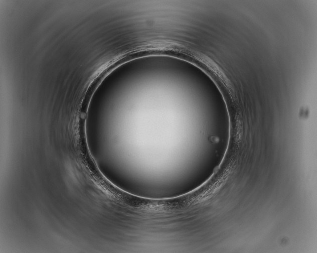 X0000100330834200806051532