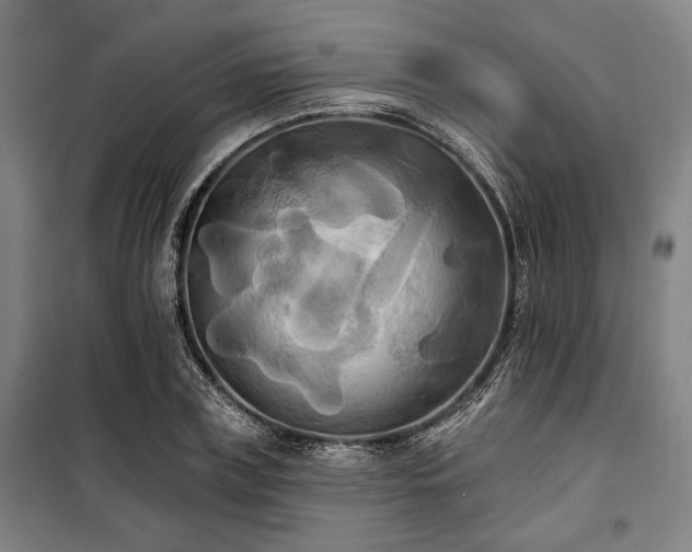 X0000100330835200806051532