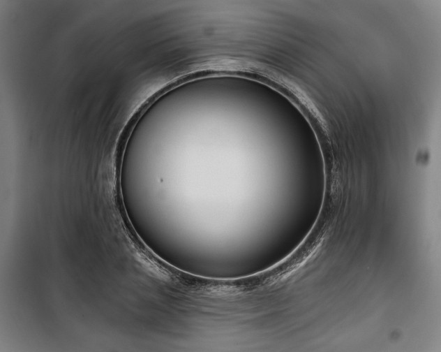 X0000100330837200806051532