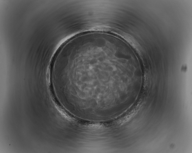 X0000100330838200806051532