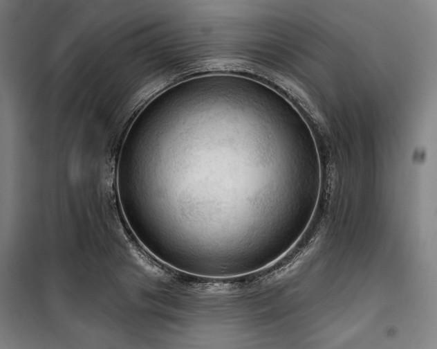 X0000100330841200806051532