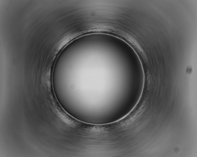 X0000100330842200806051532