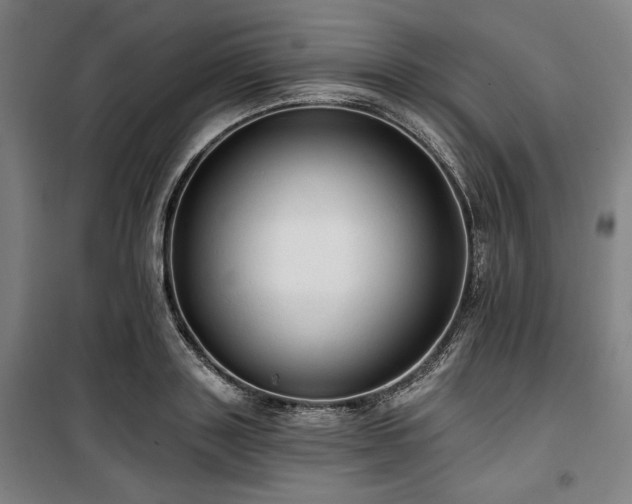 X0000100330843200806051532