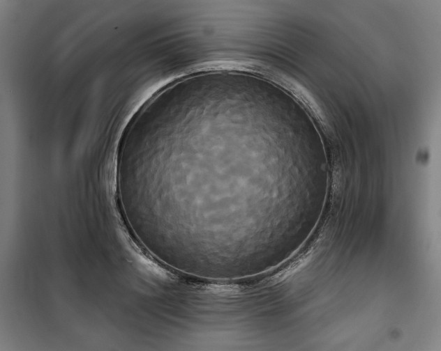 X0000100330844200806051532