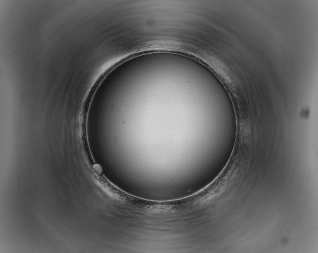 X0000100330846200806051532