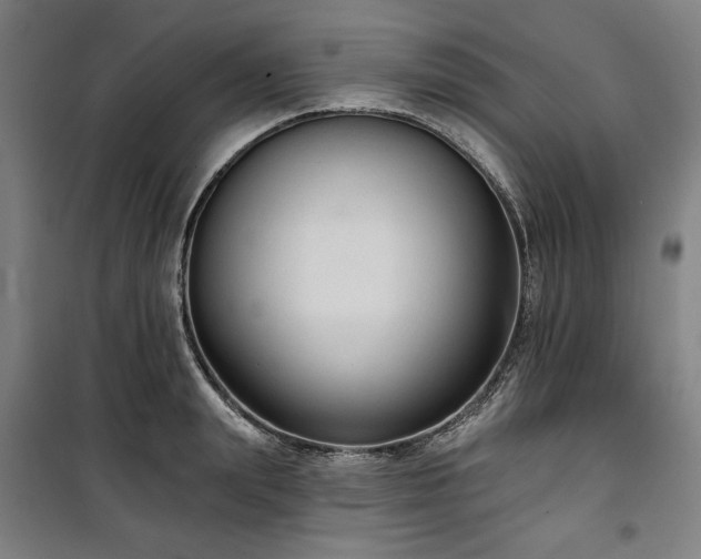 X0000100330847200806051532