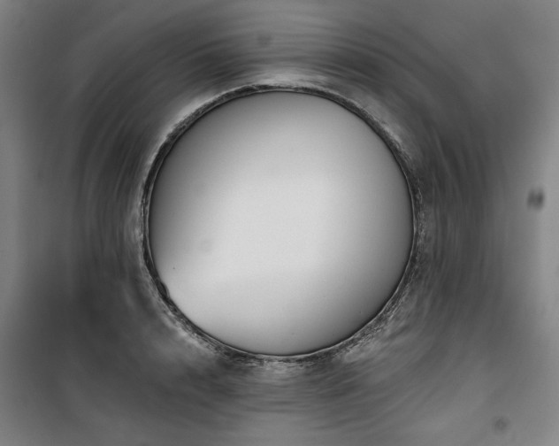 X0000100330848200806051532