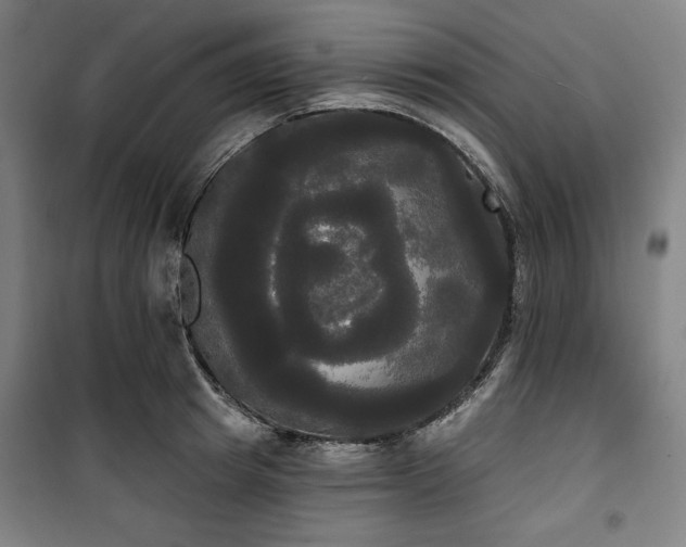 X0000100330849200806051532