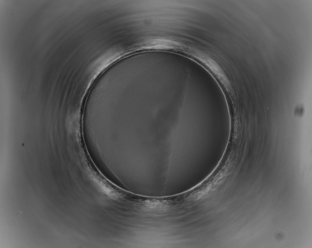 X0000100330850200806051532