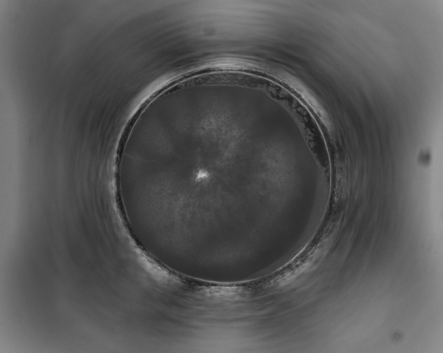 X0000100330853200806051532