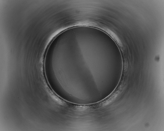 X0000100330854200806051532