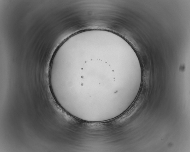 X0000100330856200806051532