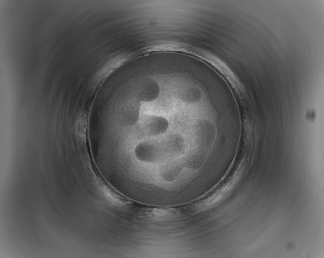 X0000100330857200806051532