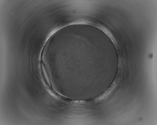 X0000100330858200806051532