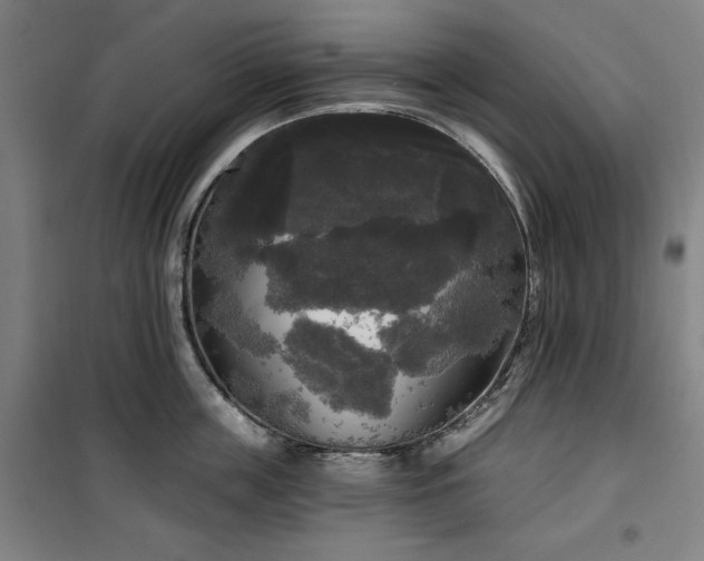 X0000100330859200806051532