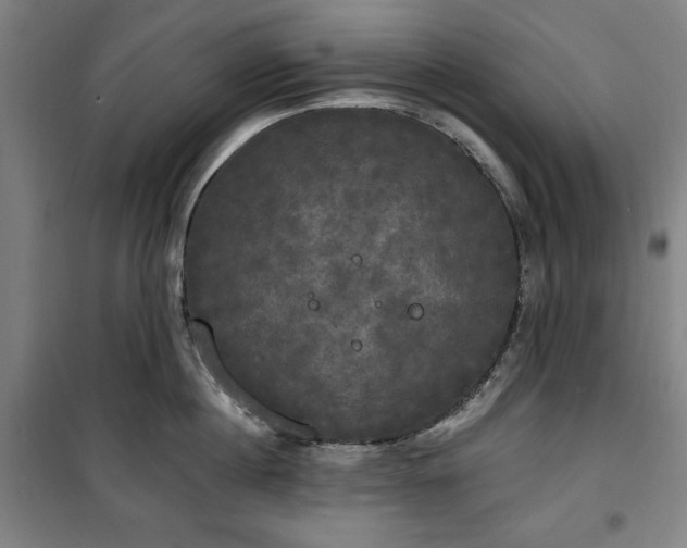 X0000100330860200806051532