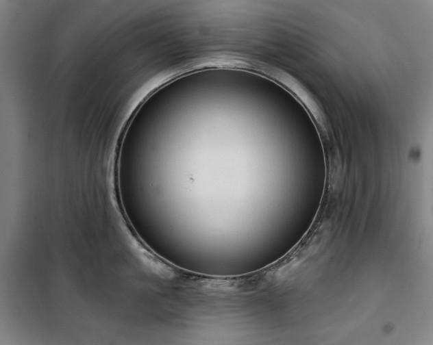 X0000100330861200806051532