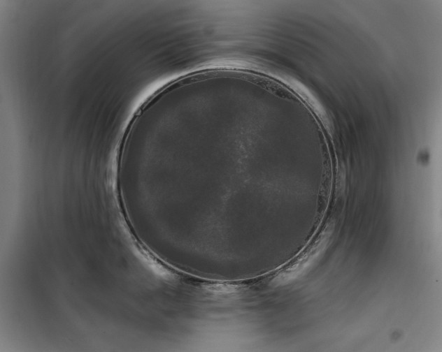 X0000100330862200806051532