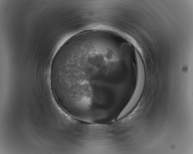 X0000100330863200806051533