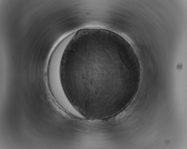 X0000100330864200806051533