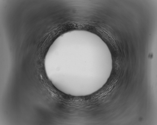 X0000100330865200806051532