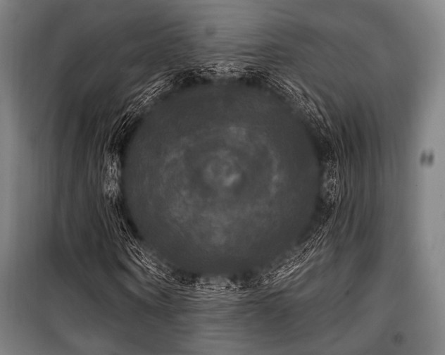 X0000100330866200806051532