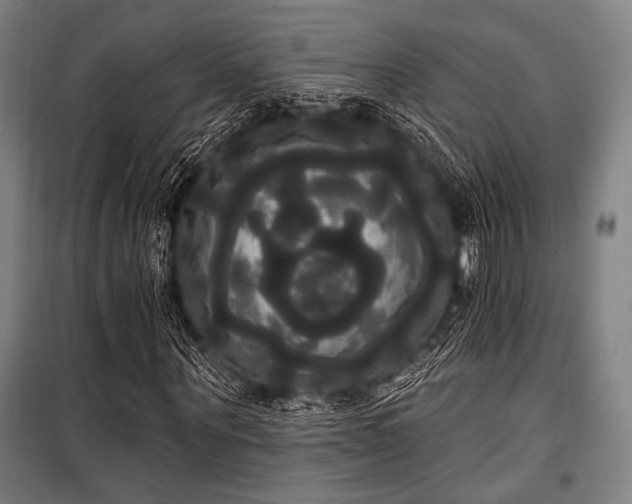 X0000100330867200806051532