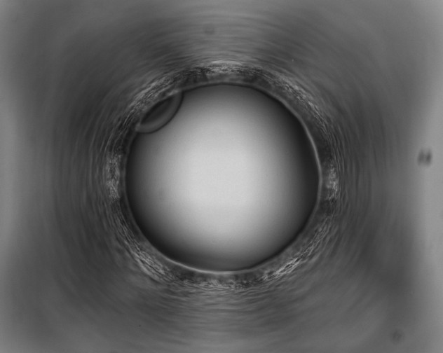 X0000100330868200806051532