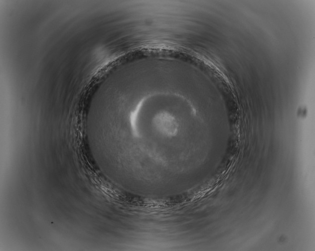 X0000100330870200806051532